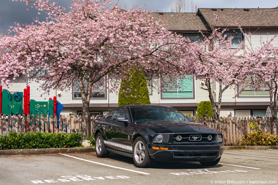 2006 Ford Mustang