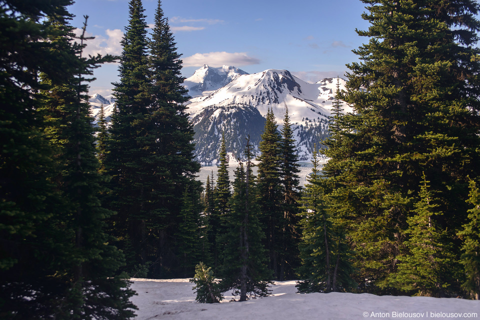 Garibaldi Lake from Taylor Meadows