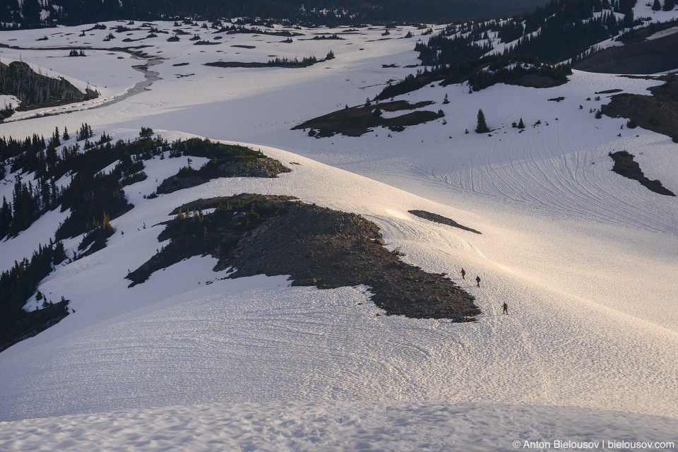 Panorama Ridge snowshoeing in July