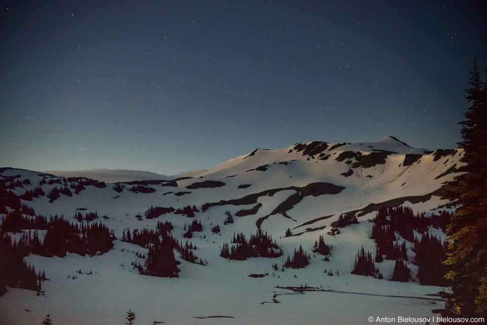 Panorama Ridge night trail