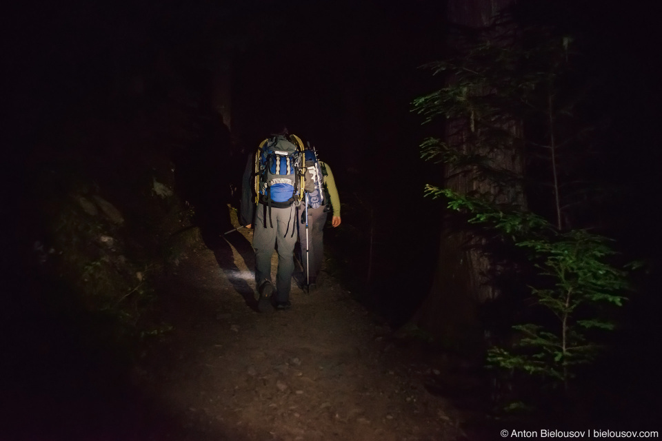 Garibaldi Lake Panorama Ridge trail at night