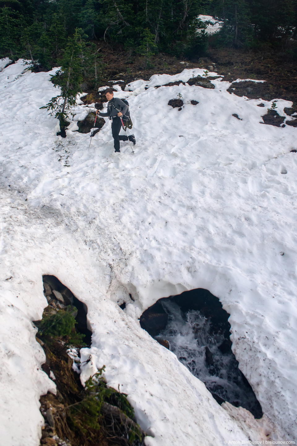 Taylor Meadows meltwater streams