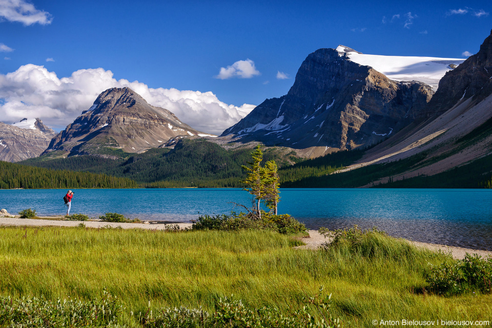 Bow Lake (Banff National Park)