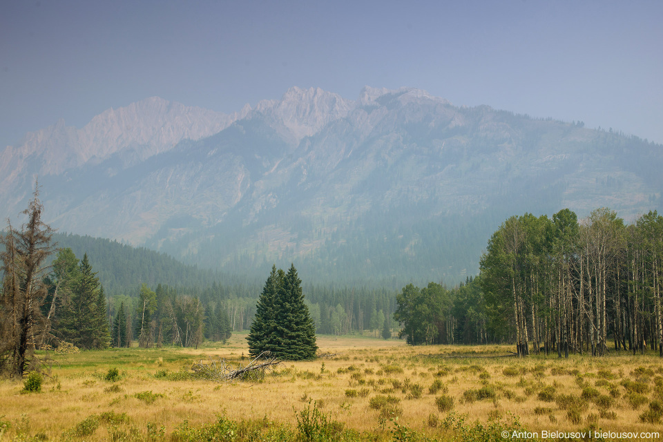 Bow Valley Parkway (Banff National Park)