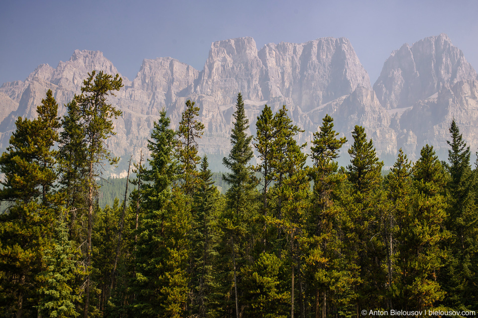 Castle Mountain (Banff National Park)