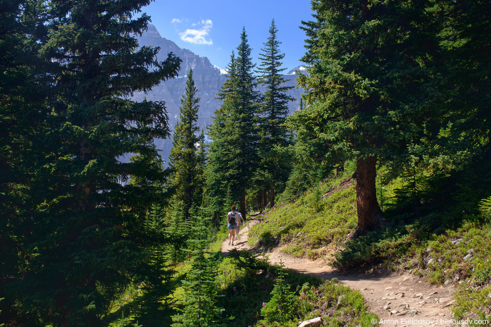 Eiffel Lake Trail (Lake Moraine, Banff National Park)