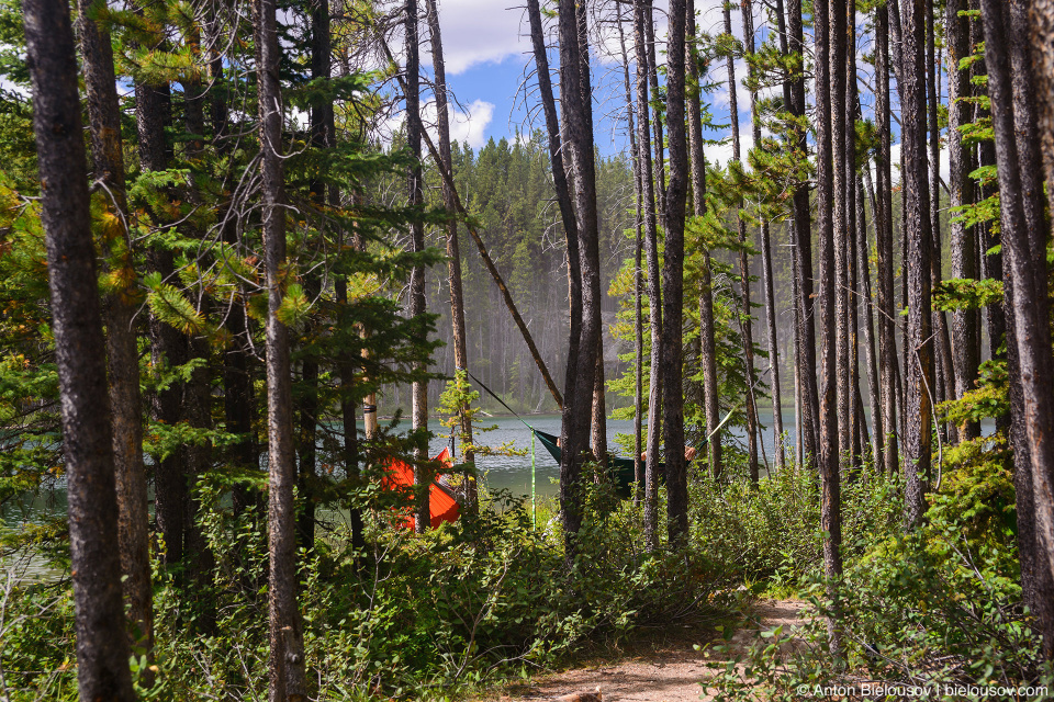 Herbert Lake (Banff National Park)