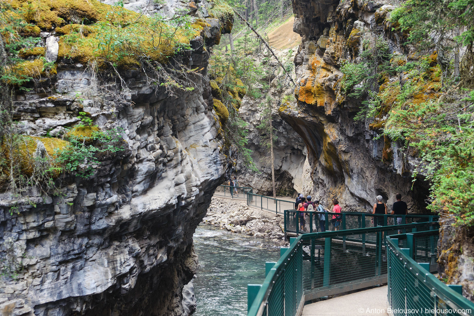 Johnston Canyon (Banff National Park)