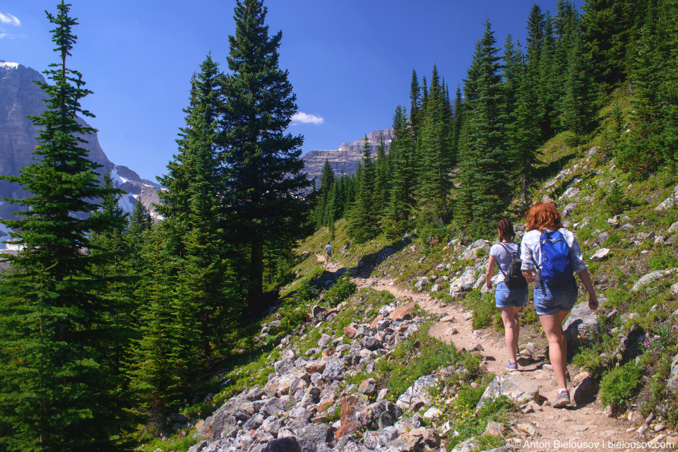 Eiffel Lake Trail (Lake Moraine, Banff National Park)