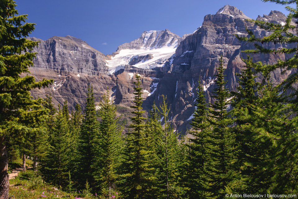 Mount Fay peak view from Eiffel Lake Trail (Banff National Park)