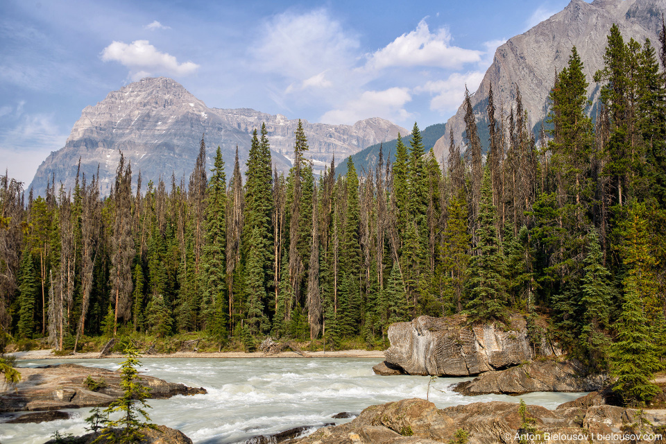 Emerald Lake Natural Bridge (Yoho National Park)