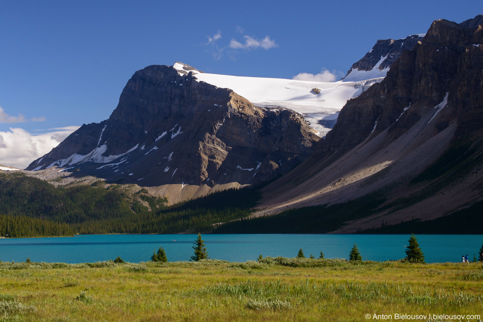 Bow Lake Crowfoot Glacier (Banff National Park)