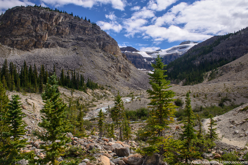 Bow Glacier Falls trail (Banff National Park)