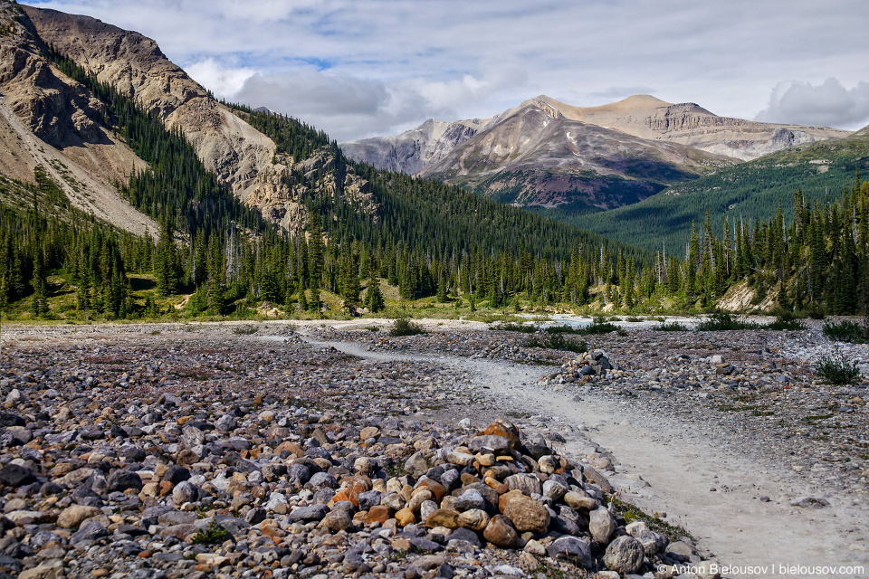 Bow Glacier Falls trail (Banff National Park)