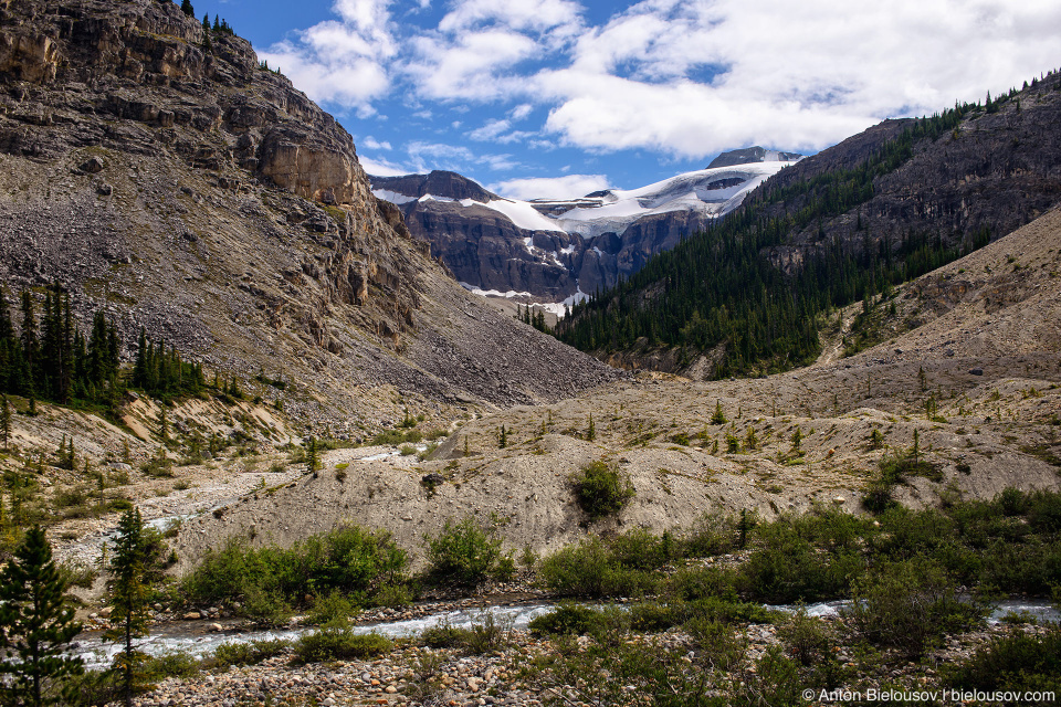 Bow Glacier Falls trail (Banff National Park)