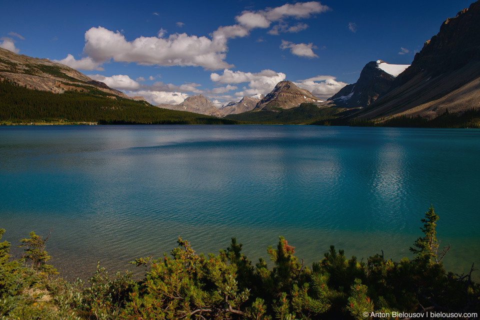 Bow Lake (Banff National Park)