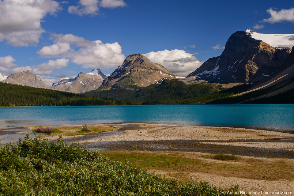 Bow Lake (Banff National Park)