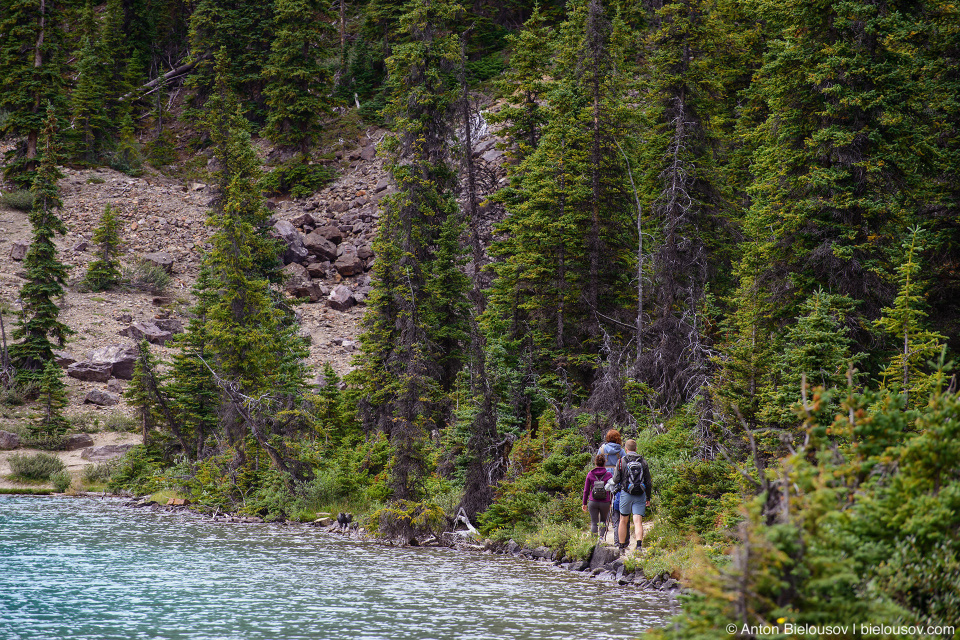 Bow Glacier Falls Trail (Banff National Park)