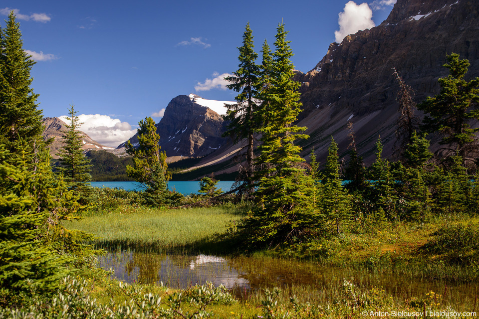 Bow Lake (Banff National Park)