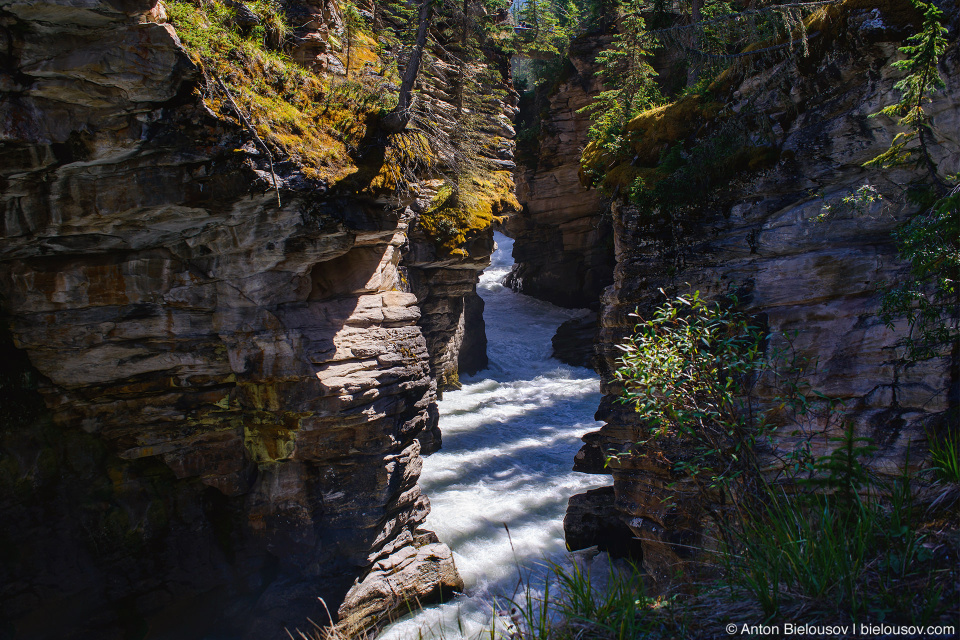 Athabasca Canyon, Jasper National Park, AB