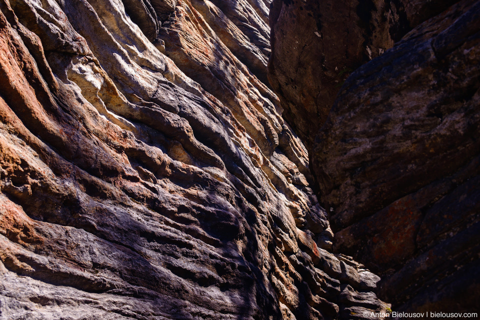 Athabasca Canyon, Jasper National Park, AB