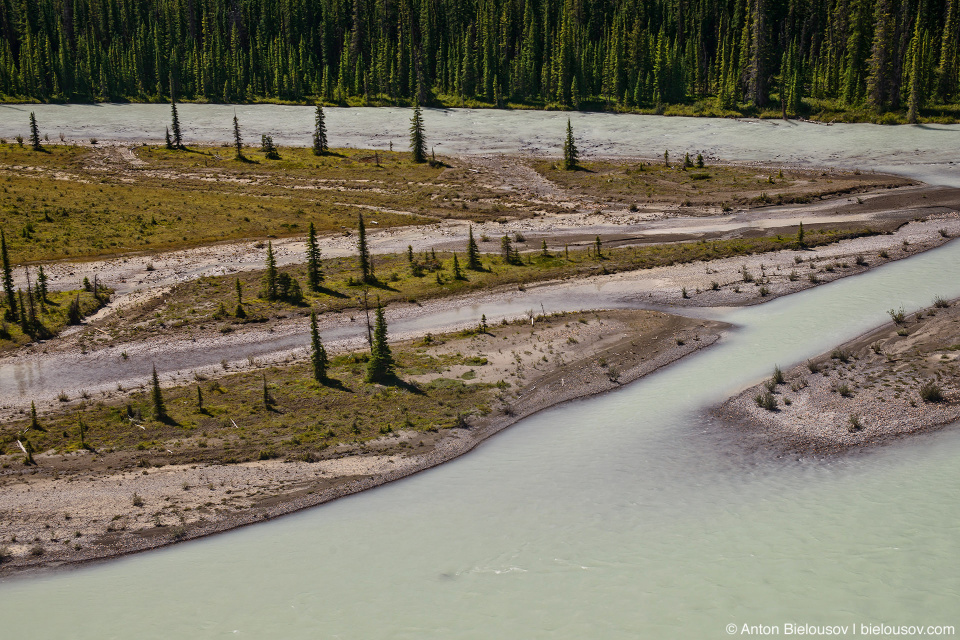 Sunwapta river at Goats and Glaciers lookout, Jasper National Park