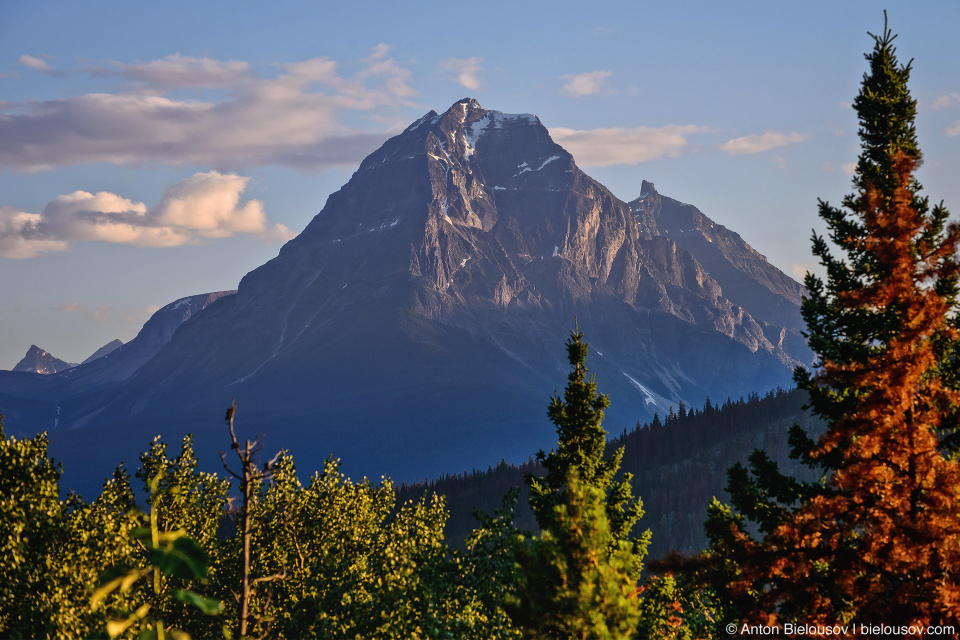 Mushroom Mountain view from Sunwapta lookout, Jasper National Park