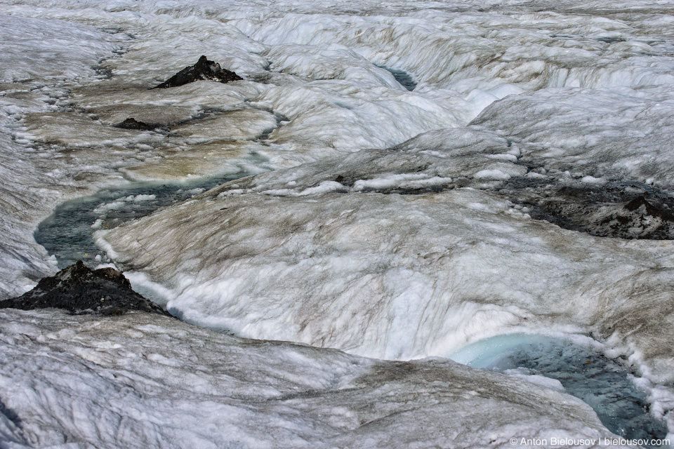 Athabasca Glacier meltwater flows, Columbia Icefield, Jasper National Park