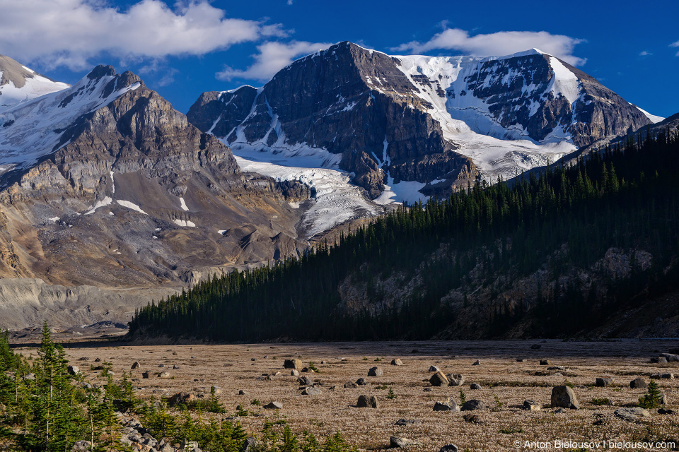 Athabasca Mountain, Columbia Icefield, Jasper National Park