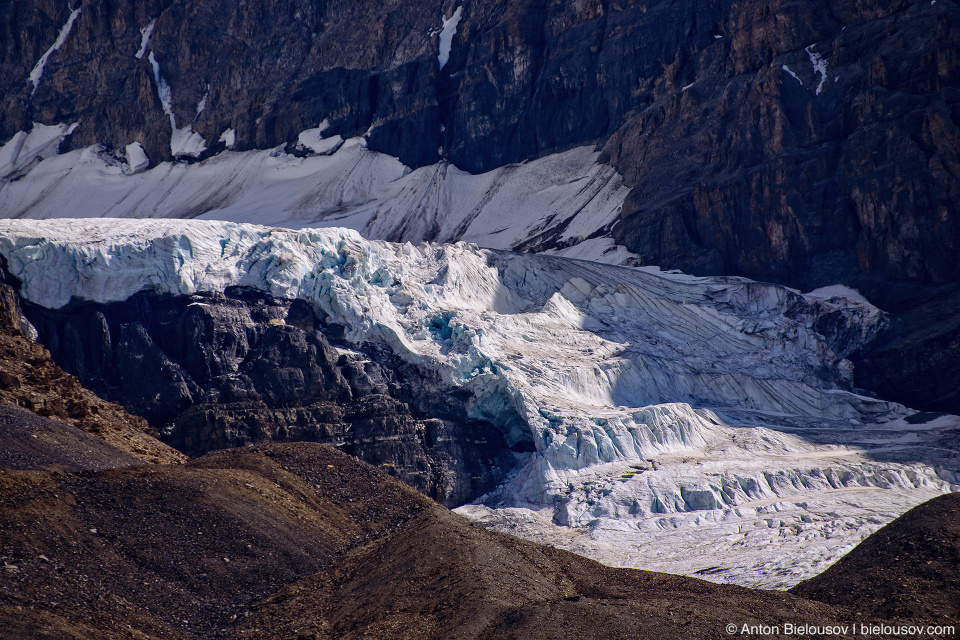 Athabasca Glacier contributing glacier at Andromeda Mountain, Columbia Icefield, Jasper National Park