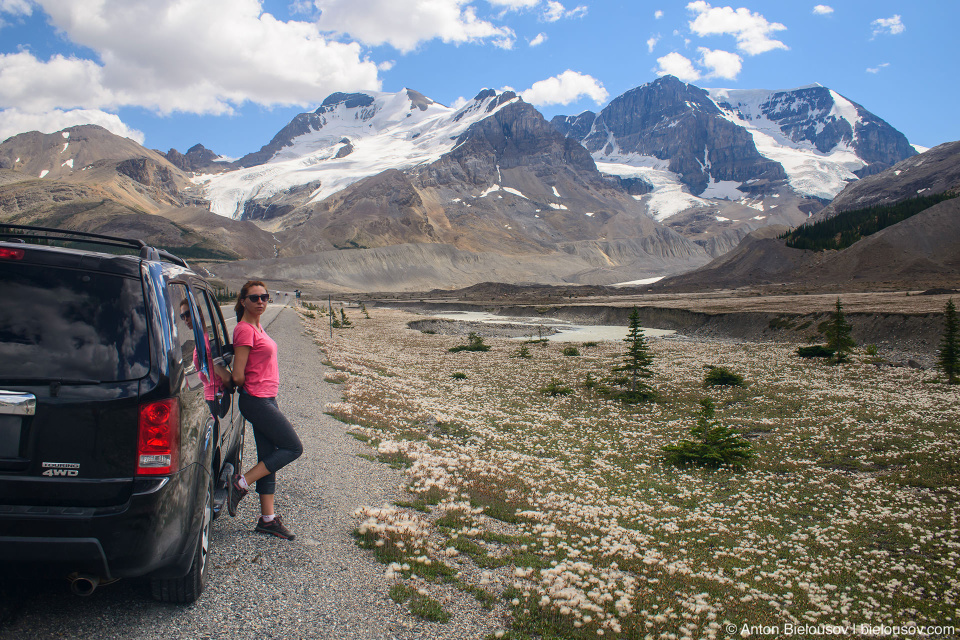 Athabasca Mountain, Columbia Icefield, Jasper National Park