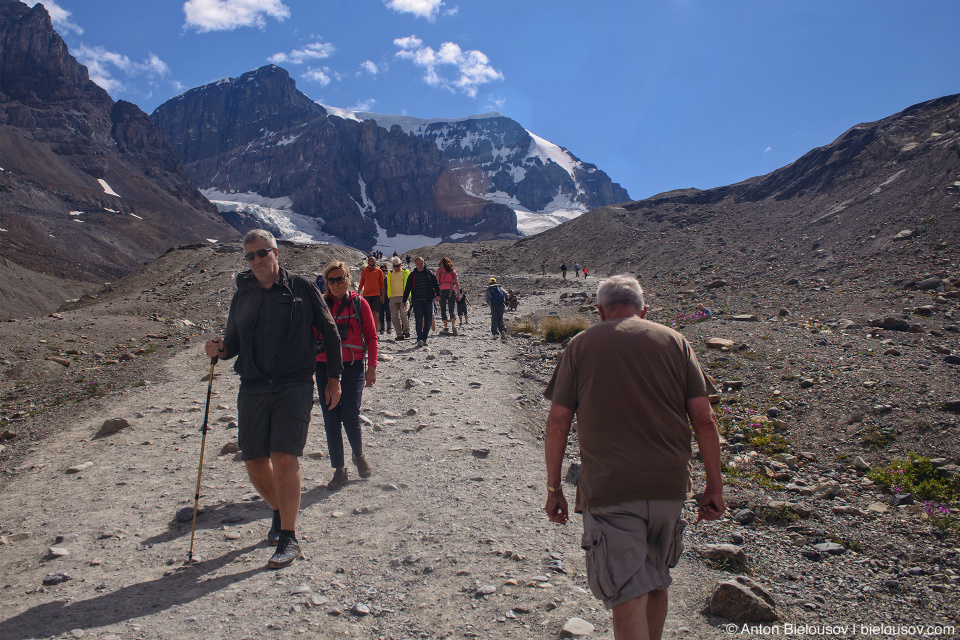 Athabasca Glacier trail, Columbia Icefield, Jasper National Park