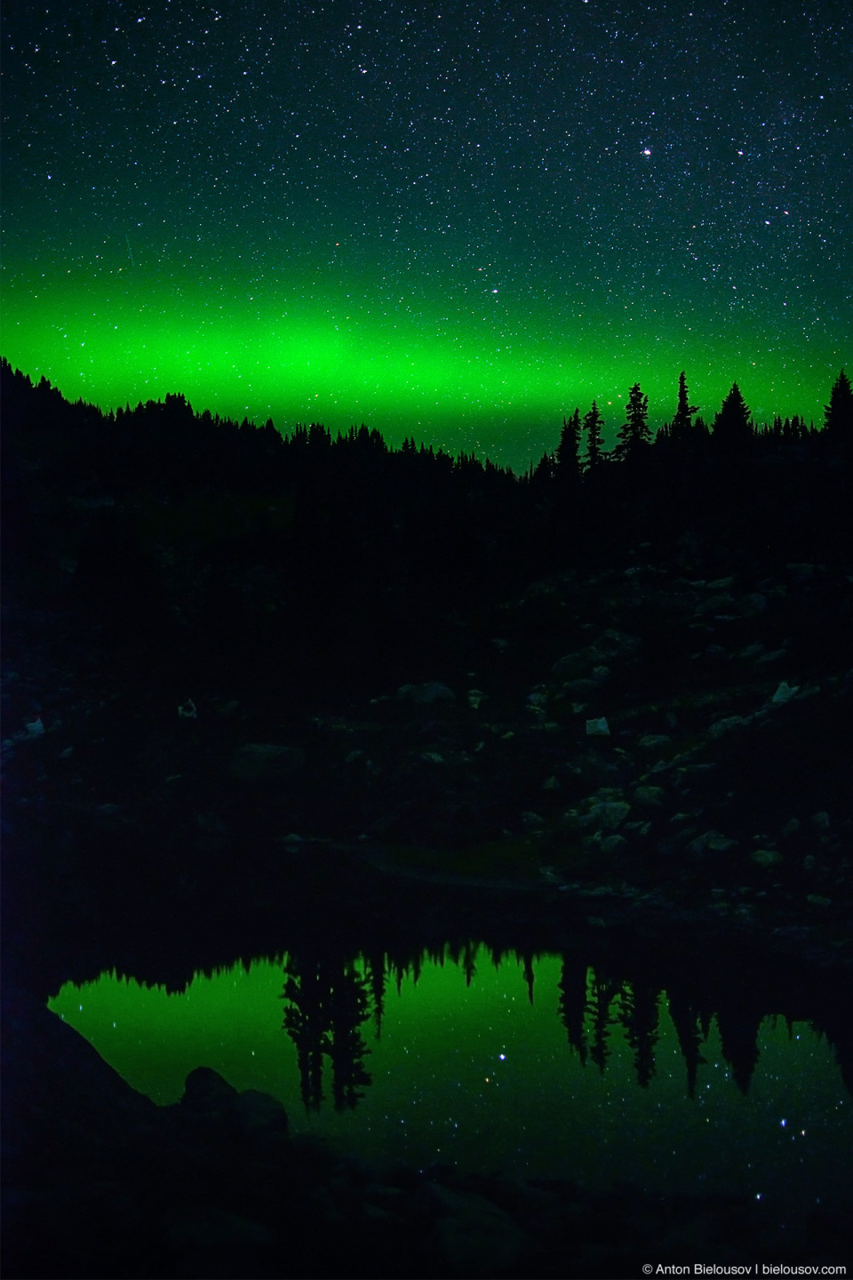 Northern lights (Aurora Borealis) 