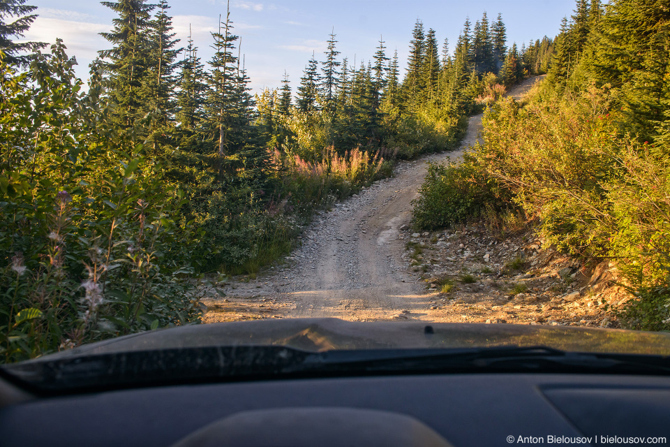 Honda Pilot at Mount Sproatt forestry service road