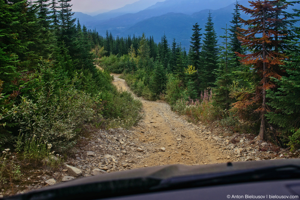 Honda Pilot at Mount Sproatt forestry service road