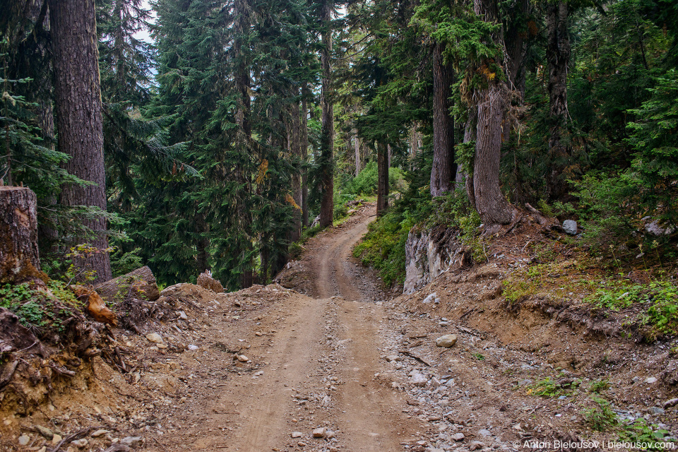 Mount Sproatt alpine trail