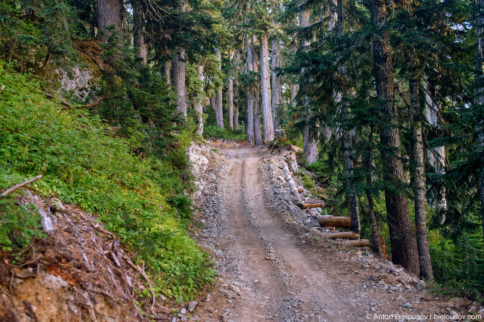 Honda Pilot at Mount Sproatt alpine trail