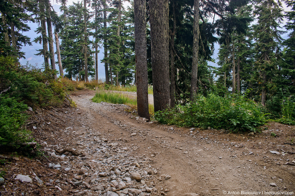 Honda Pilot at Mount Sproatt alpine trail