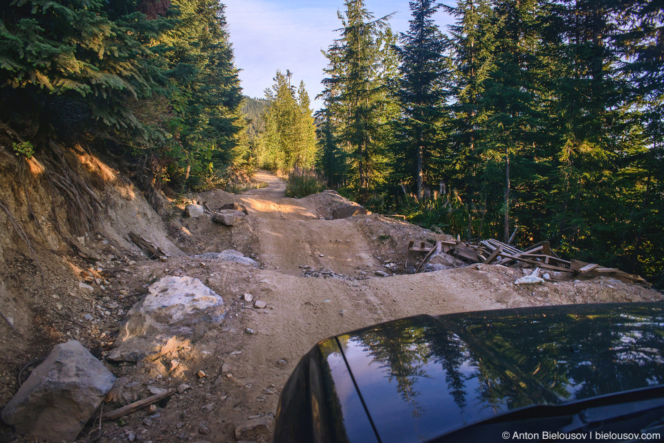 Honda Pilot at Mount Sproatt forestry service road