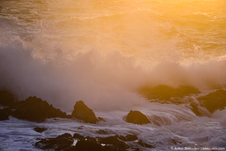 Storm Watching in Ucluelet, BC