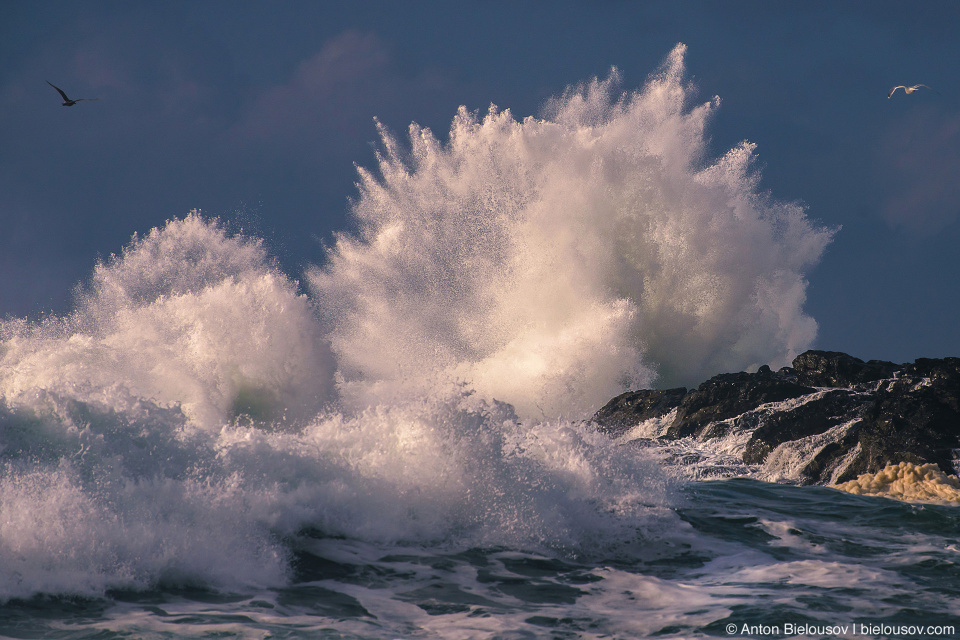 Storm in Ucluelet, BC