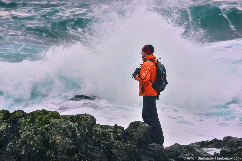 Stormwatching in Ucluelet, BC