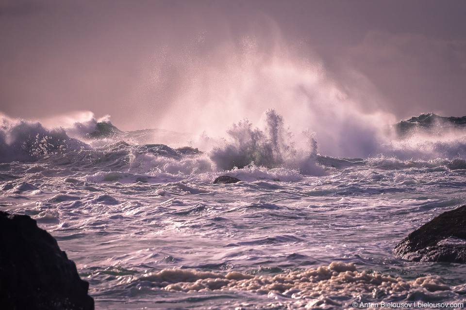 Storm Watching in Ucluelet, BC