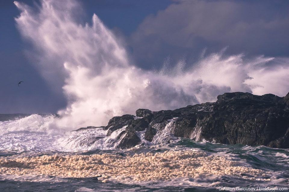 Storm Watching in Ucluelet, BC