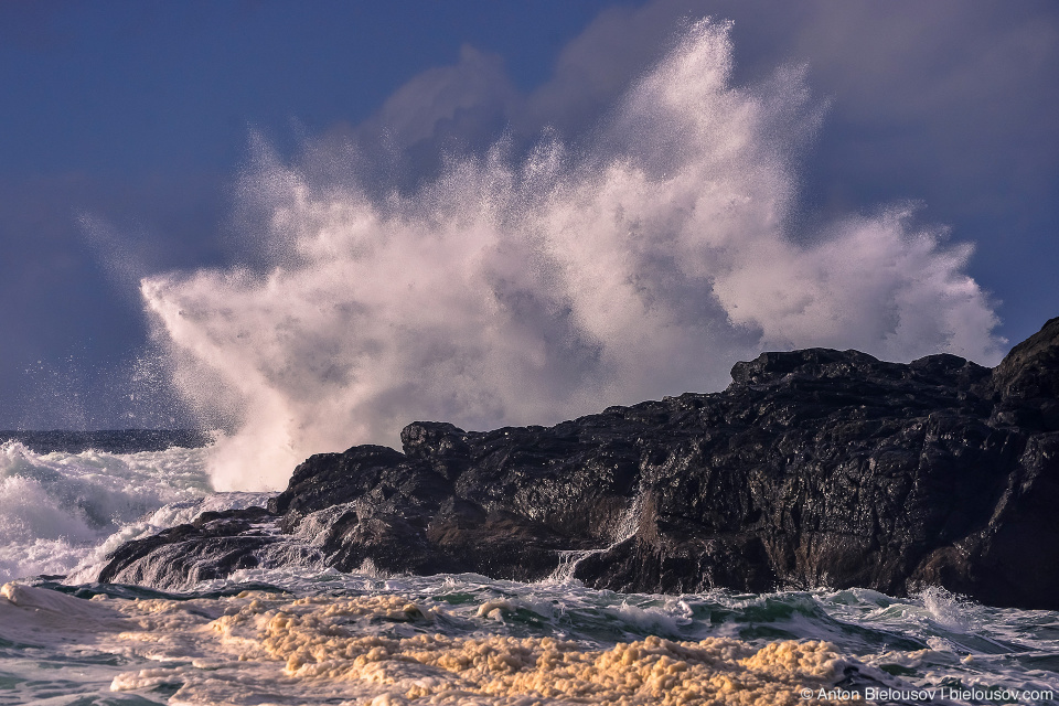 Storm Watching in Ucluelet, BC