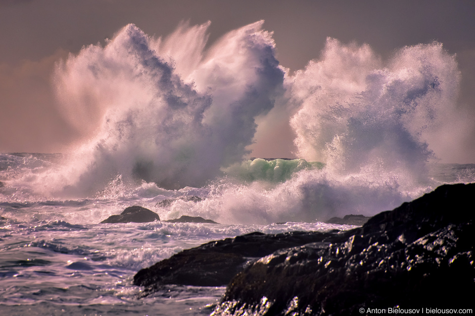 Storm Watching in Ucluelet, BC