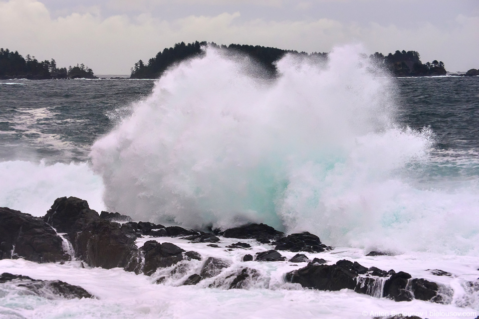 Storm Watching, Ucluelet, BC