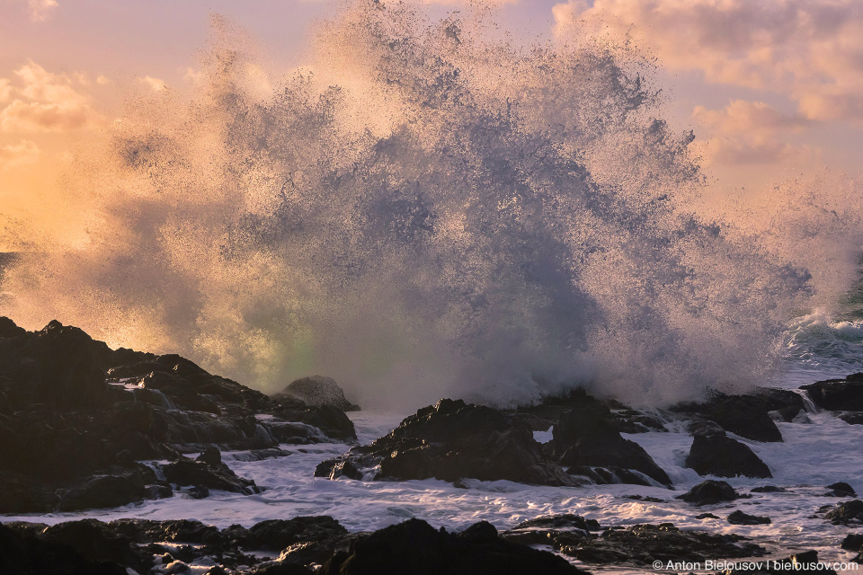 Storm Watching in Ucluelet, BC