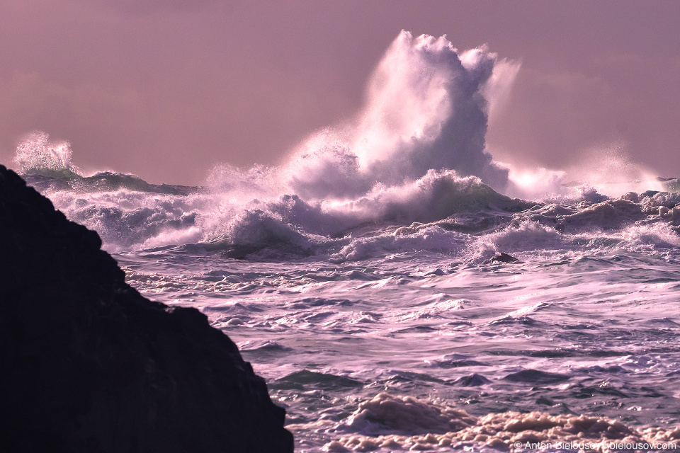 Storm Watching in Ucluelet, BC