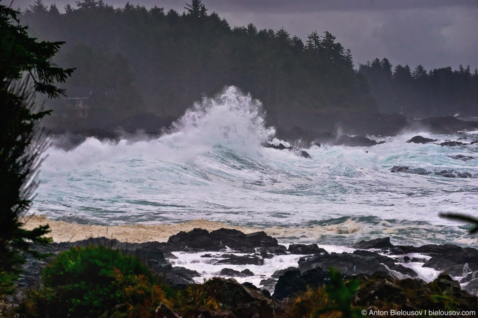 Storm Watching, Ucluelet, BC